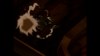 Screenshot (2).png