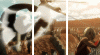 image.gif