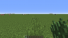 IMG_0317.PNG