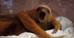 6197b49ed0d901dc73c7fd32c20b40d4.gif